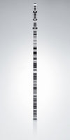 757761 GTL4M 4m Fiberglass Level Rod - Barcode & mm
