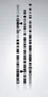 522793 GKNL4F Dual Face Invar Rod - Barcode/ft