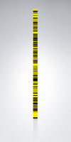 563733 GWCL60 Invar Code Scale
